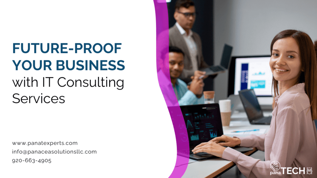 IT management consulting